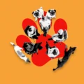 Inside support group bad dogs culture