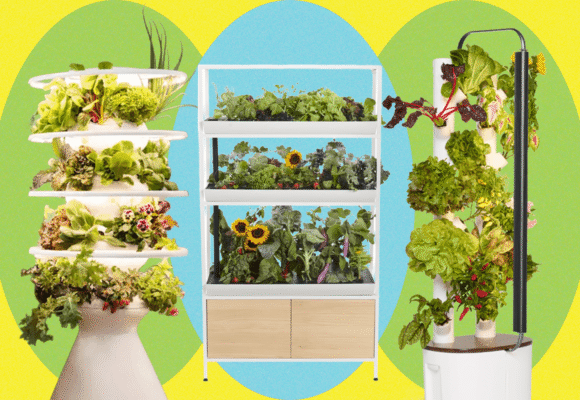 Best Indoor Garden Systems I’ve Been Testing All Year (2026)